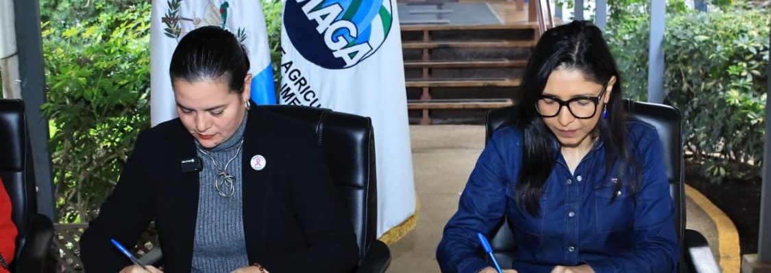 CONVENIO-MAGA-WE-EFFECT-1140x570