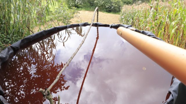 Promueven cosecha de agua ante lluvias focalizadas y altas temperaturas