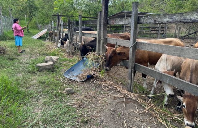 Advierten de un déficit hídrico, baja humedad y lluvias dispersas