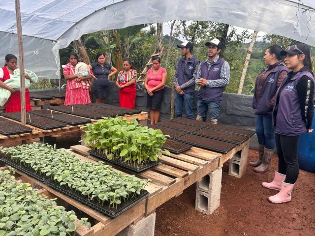 Walmart Guatemala y United Way Guatemala sigue Nutriendo la Vida en Sacatepéquez