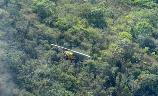 Helicóptero se accidenta en Sanarate