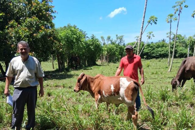 Recomendaciones para proteger cultivos y ganado ante el calor y poca humedad