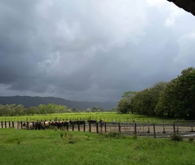 Exceso de humedad y lluvias podrían dañar cultivos y afectar el ganado